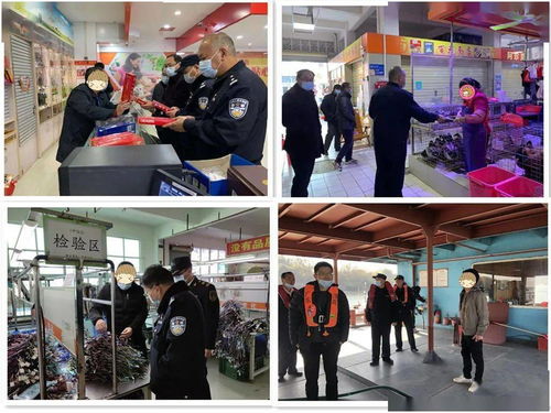 筑牢節(jié)日防線 英德開(kāi)展打擊應(yīng)節(jié)商品走私統(tǒng)一檢查行動(dòng)，并借力體驗(yàn)式拓展活動(dòng)深化團(tuán)隊(duì)協(xié)作與策略規(guī)劃