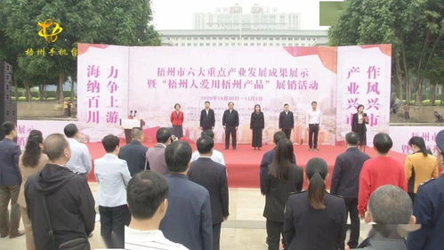 梧州六大重點(diǎn)產(chǎn)業(yè)成果閃耀，本土品牌展銷與文化交流共繪發(fā)展新篇